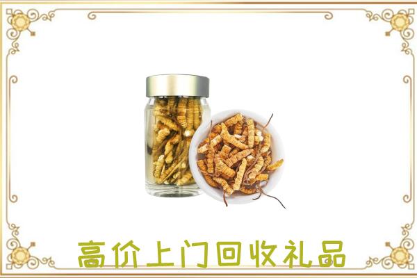 疏附县周边回收虫草